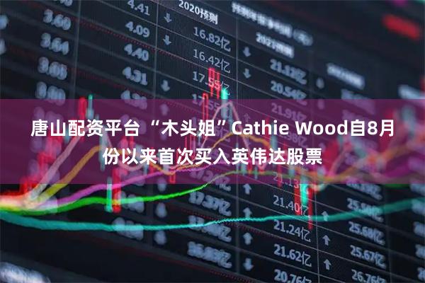 唐山配资平台 “木头姐”Cathie Wood自8月份以来首次买入英伟达股票