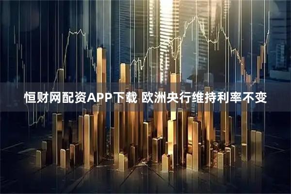 恒财网配资APP下载 欧洲央行维持利率不变