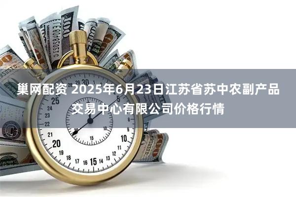 巢网配资 2025年6月23日江苏省苏中农副产品交易中心有限公司价格行情
