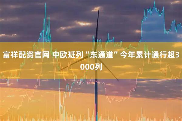 富祥配资官网 中欧班列“东通道”今年累计通行超3000列