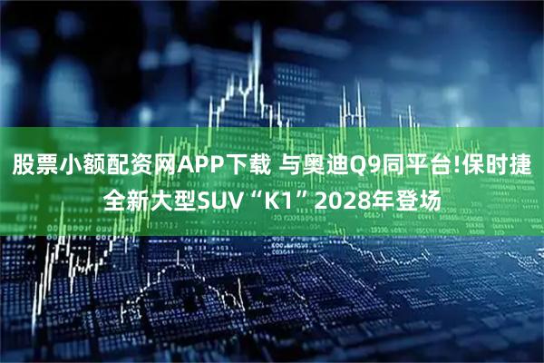 股票小额配资网APP下载 与奥迪Q9同平台!保时捷全新大型SUV“K1”2028年登场